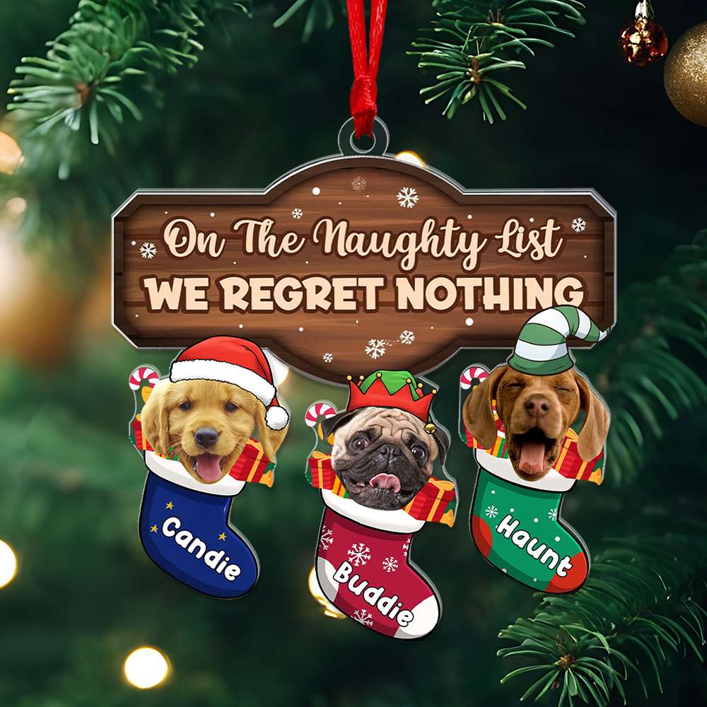 On The Naughty List We Regret Nothing - Personalized Acrylic Ornament - Christmas Gift For Pet Lovers