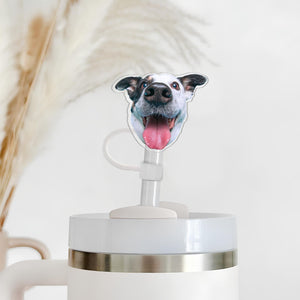 Personalized Gift For Dog Mom Cat Mom, Topper Straw Topper With Dog Cat Photo, Custom Dog Cat Head Cup Straw Cover, Dog Mom Cat Mom Gift