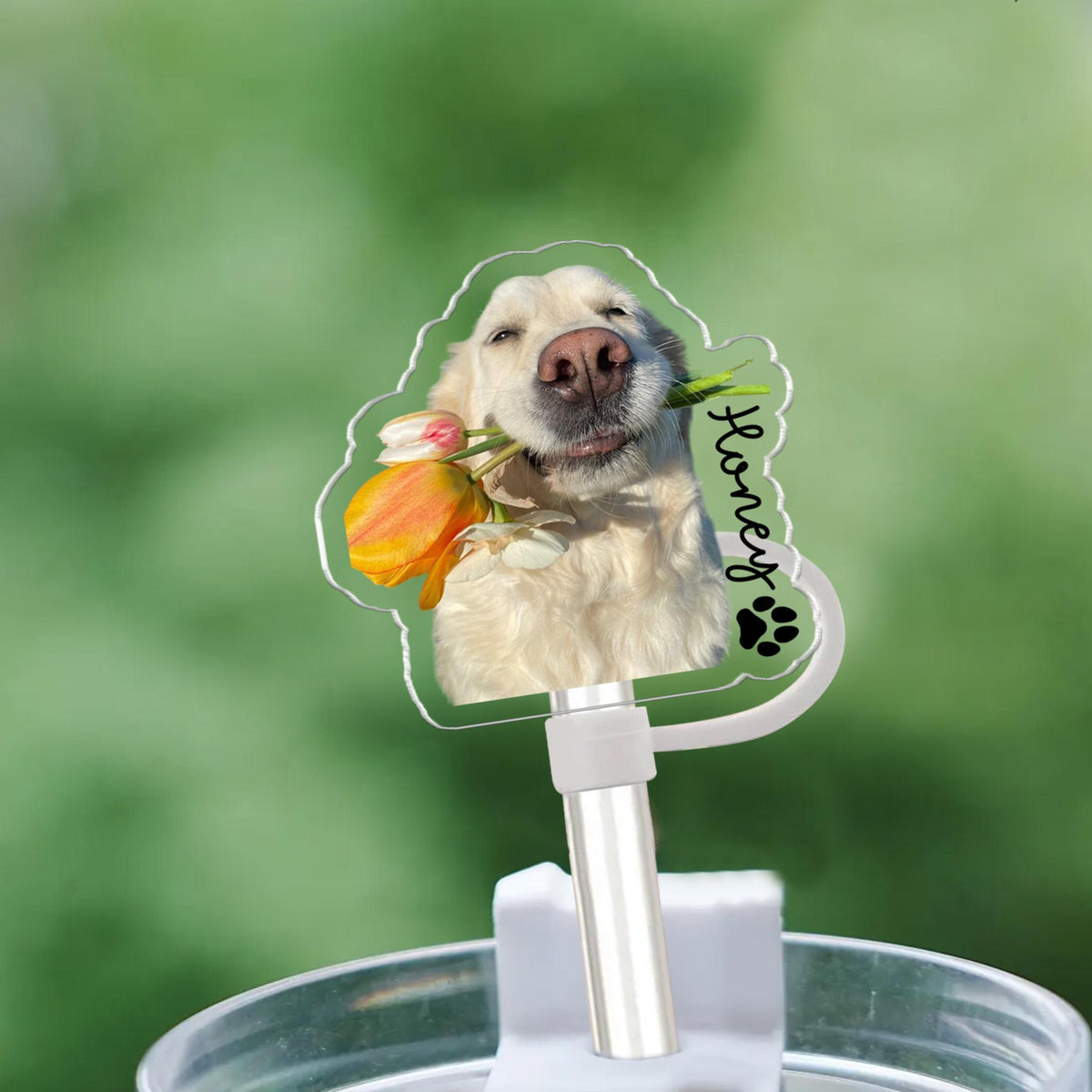 Personalized Gift For Dog Mom, Custom Topper Straw Topper With Photo, Custom Dog Photo Cup Straw Cover, Dog Mom Gifts