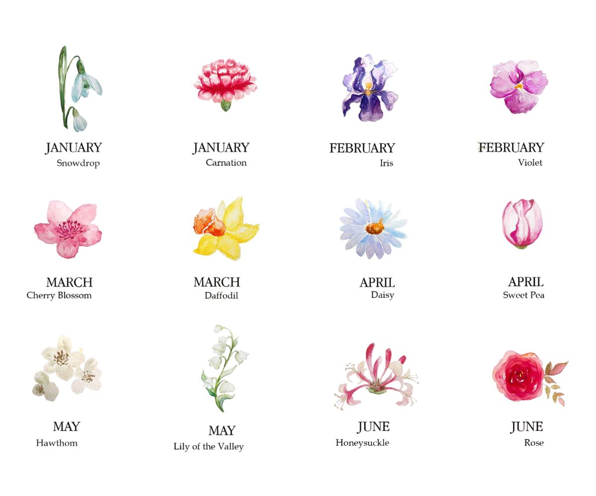 Sister Gifts, Sisters Are Different Flowers Mug, Sister Gifts For Birthday, Gifts for her, Customized Birth Month Flowers