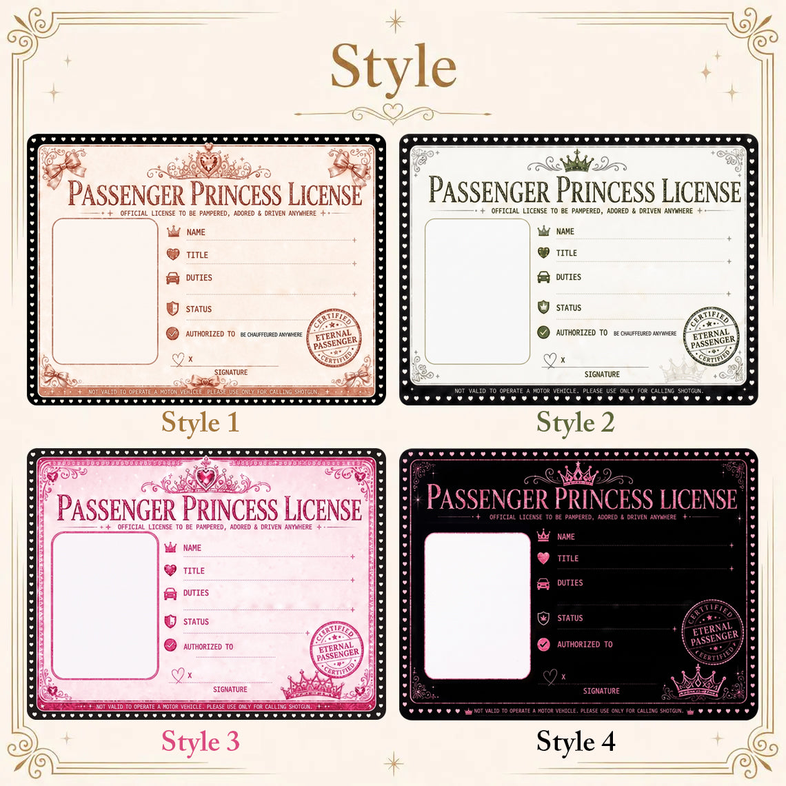 Passenger Princess License - Personalized Car Visor Clip