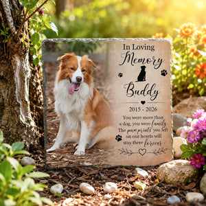 You Were More Than A Cat Dog - Personalized Memorial Stone