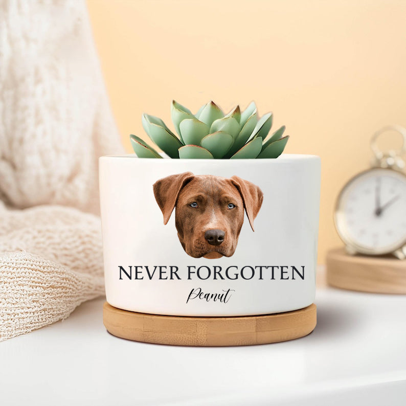 Never Forgotten Custom Dog Photo Memorial Planter, Dog Memorial Plant Pot, Loss of Pet Gift, Personalized Gift Plant Pot, Loss of Dog,Pet Memorial Keepsake