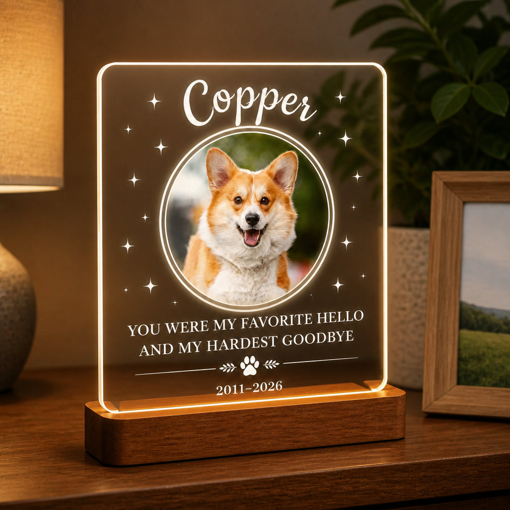 Pet Memorial LED Acrylic Light — Favorite Hello Hardest Goodbye - Personalized 3D LED Light Wooden Base bb65db23-b120-42fa-b28b-7aba59ae9001.jpg