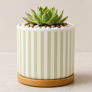 Custom Pet Portrait Planter – Botanical Medallion Wrap - Personalized Mini Glass Plant Pot bc280b74-f360-406f-b022-e6e4c7cf06ed.jpg
