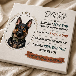 Before I Met You Pet Photo Poem Canvas - Personalized Canvas bde0343a-d781-47ac-a2a5-96117b9ccc17.jpg
