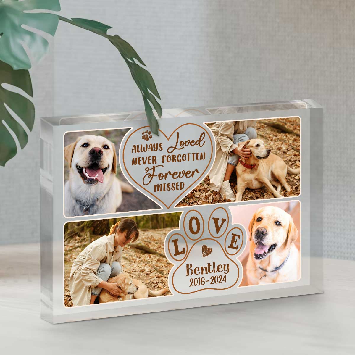 Custom Pet Loss Acrylic Photo Block, Always Loved Never Forgotten Forever Missed Dog Memorial Plaque, Pet Loss Gift, Dog Sympathy Gifts