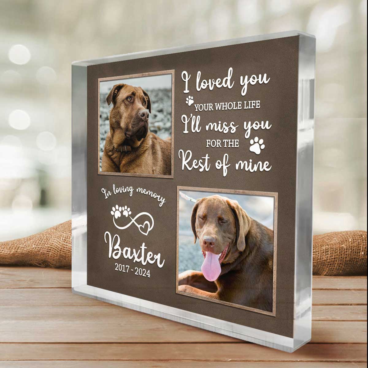 Personalized Dog Passing Gifts, Custom Dog Memorial Picture Acrylic Plaque, Dog Remembrance Gifts, Pet Loss Gift, Pet Death Gift