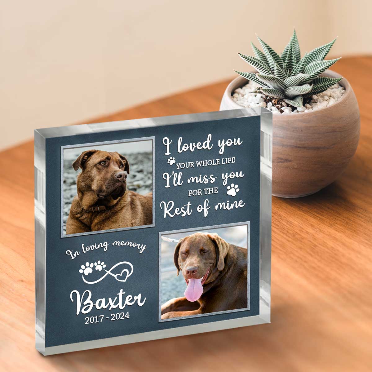 Personalized Dog Passing Gifts, Custom Dog Memorial Picture Acrylic Plaque, Dog Remembrance Gifts, Pet Loss Gift, Pet Death Gift