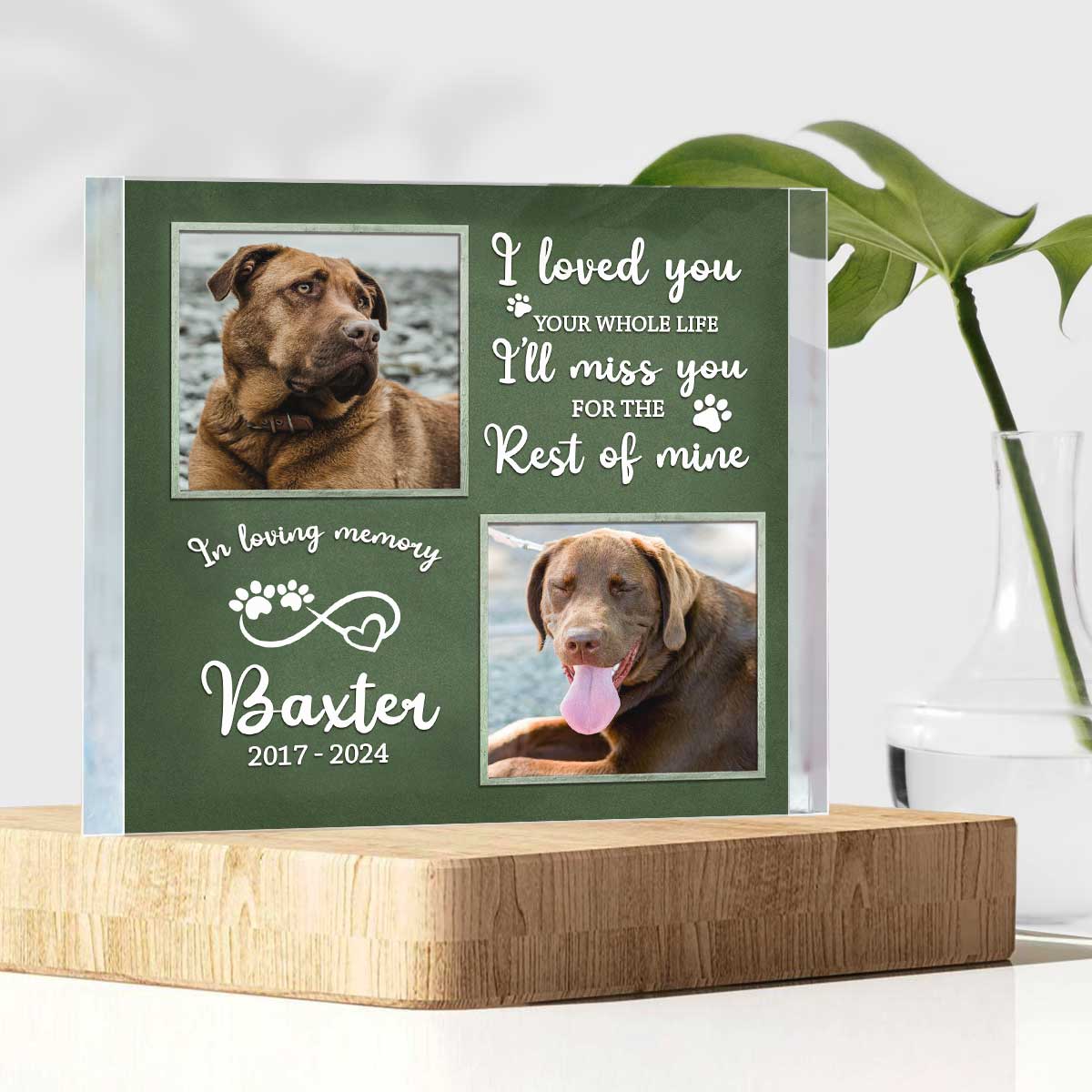 Personalized Dog Passing Gifts, Custom Dog Memorial Picture Acrylic Plaque, Dog Remembrance Gifts, Pet Loss Gift, Pet Death Gift