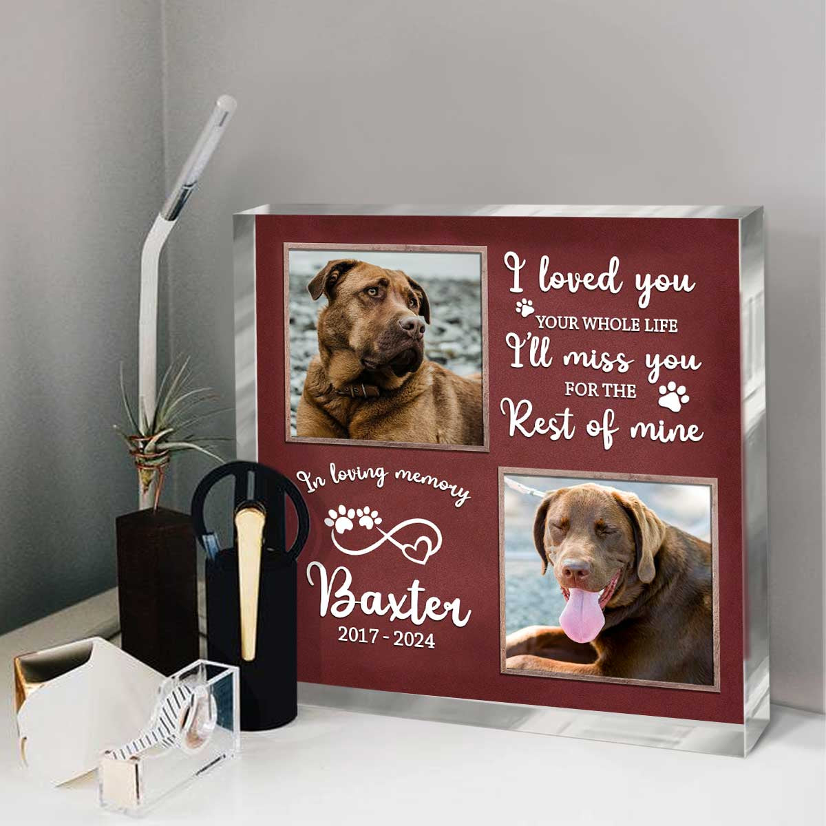 Personalized Dog Passing Gifts, Custom Dog Memorial Picture Acrylic Plaque, Dog Remembrance Gifts, Pet Loss Gift, Pet Death Gift
