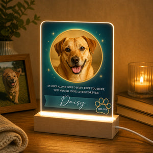 Custom Pet Memorial Photo Acrylic Night Light - Personalized Acrylic Night Light bfa7e971-8d62-42cd-95f0-7f8bbe8394f2.jpg