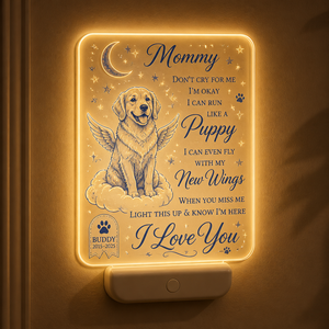 Pet Memorial Acrylic Night Light — "Light This Up & Know I'm Here" (Name & Years) - Personalized Acrylic Night Light bfad7448-a381-4bf5-b8db-60bb4d24a265.png