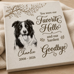 Pet Memorial Canvas – Favorite Hello, Hardest Goodbye - Personalized Canvas bfdac104-0b8c-4084-8da2-bfa943408efa.jpg