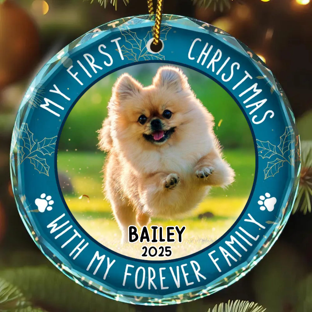 First Christmas With Family - Personalized Crystal Ornament - Gift For Pet Lovers