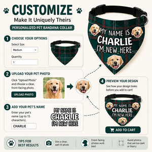 New Puppy Intro Photo Bandana – My Name Is [Pet Name] - Personalized Pet Bandana Collar With Adjustable Buckle c39c5e08-2725-4d00-b1f7-2f9008e83152.jpg