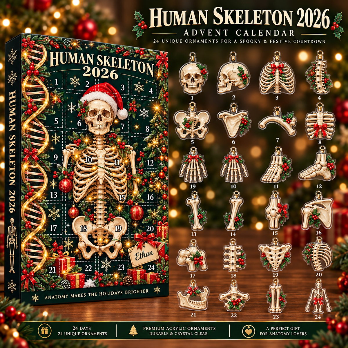 Human Skeleton Advent Calendar 2026, Anatomy Christmas Countdown Box, 24 Bone Ornaments, Medical Science Holiday Decor, Student Gift 2026 c3fef72a-5e01-4053-843b-beb1e433d964-9bd4ef56-f7c6-43f1-9815-75b64b8f835d.png