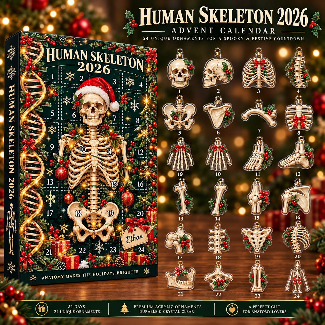 Human Skeleton Advent Calendar 2026, Anatomy Christmas Countdown Box, 24 Bone Ornaments, Medical Science Holiday Decor, Student Gift 2026 c3fef72a-5e01-4053-843b-beb1e433d964-9bd4ef56-f7c6-43f1-9815-75b64b8f835d.png