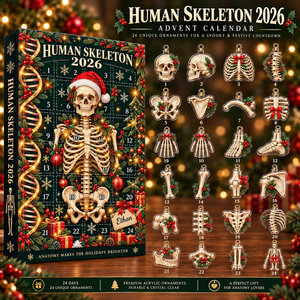Human Skeleton Advent Calendar 2026, Anatomy Christmas Countdown Box, 24 Bone Ornaments, Medical Science Holiday Decor, Student Gift 2026 c3fef72a-5e01-4053-843b-beb1e433d964-9bd4ef56-f7c6-43f1-9815-75b64b8f835d.png