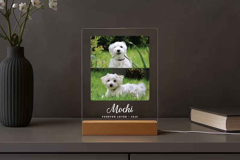 Personalized Pet Memorial LED Night Light — Custom Dog or Cat Photo Sympathy Gift c48deb65-33d1-4e3d-9f5c-411b3c959c95-fsdf.jpg
