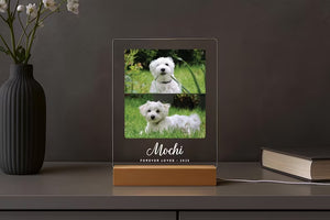 Personalized Pet Memorial LED Night Light — Custom Dog or Cat Photo Sympathy Gift c48deb65-33d1-4e3d-9f5c-411b3c959c95-fsdf.jpg