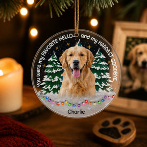 Favorite Hello Hardest Goodbye - Pet Photo Memorial Ornament - Personalized Transparent Acrylic Ornament c6933e66-c9dd-47f4-8f76-10e9429fcb7d.jpg