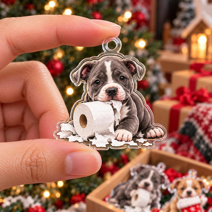 2D Flat Acrylic Pitbull Advent Calendar 2026, 24 Funny Pit Bull Ornaments, Dog Christmas Countdown Calendar, Pitbull Lover Gift c71a5c75-e696-4f92-89b1-52287ab30aa7-il_1588xN.8597419006_9pje.jpg