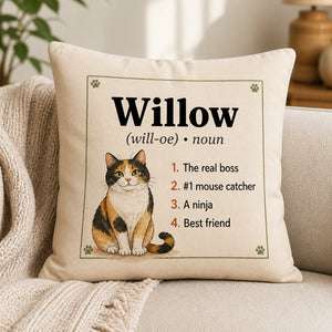 Personalized Cat Name Dictionary Pillow - Personalized Pillow c9f0471d-5e05-4890-9389-1abefd21b498.jpg