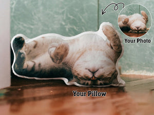 Custom Cat Pillow: Personalized Pet Pillow From Photo, Cat Memorial Gift, Custom Plushie