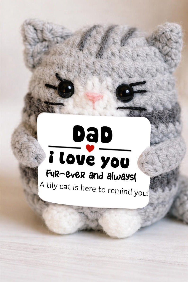 Positive Cat Emotional Support,Mother's Day Gift,Positive Pocket Hug for Kids Mom Dad Friends & Loved Ones