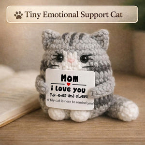 Positive Cat Emotional Support,Mother's Day Gift,Positive Pocket Hug for Kids Mom Dad Friends & Loved Ones