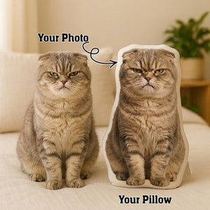 Custom Cat Pillow: Personalized Pet Pillow From Photo, Cat Memorial Gift, Custom Plushie