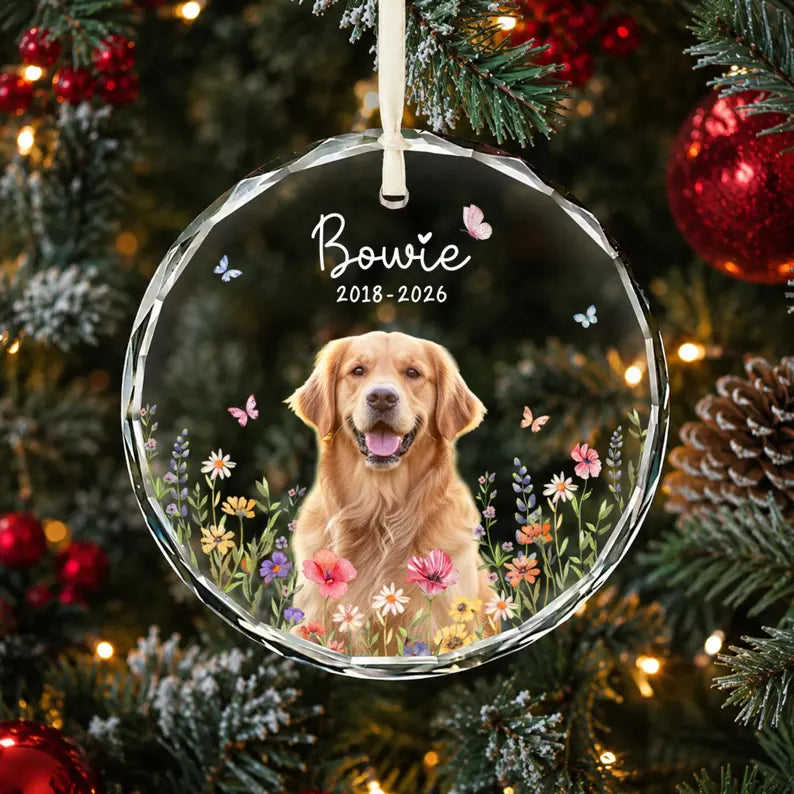 Personalized Dog Memorial Ornament with Photo, Dog Remembrance Keepsake, Glass Ornament cc91e4a0-741b-4264-9760-844912412948-hgghgh-4-.webp
