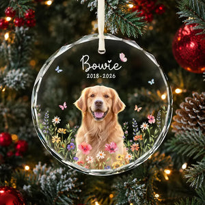 Personalized Dog Memorial Ornament with Photo, Dog Remembrance Keepsake, Glass Ornament cc91e4a0-741b-4264-9760-844912412948-hgghgh-4-.webp