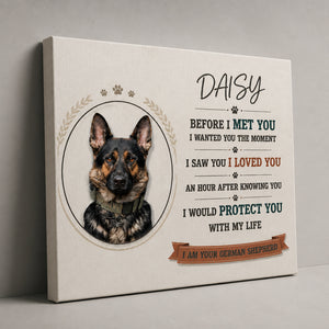 Before I Met You Pet Photo Poem Canvas - Personalized Canvas ccee3b08-ba17-4b85-97fa-a3ce94dbacb7.jpg