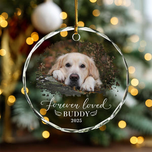 Personalized Pet Memorial Photo Ornament: Dog Sympathy Gift, Dog Lover d01cebda-0164-4c05-a2e6-073be159caeb-il_fullxfull.7436187740_m9cx.jpg
