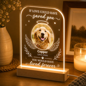 Pet Memorial Angel Wings Acrylic Night Light – Photo, Name & Years - Personalized Acrylic Night Light d138081c-d499-4769-89c7-bcef3aa0884c.jpg