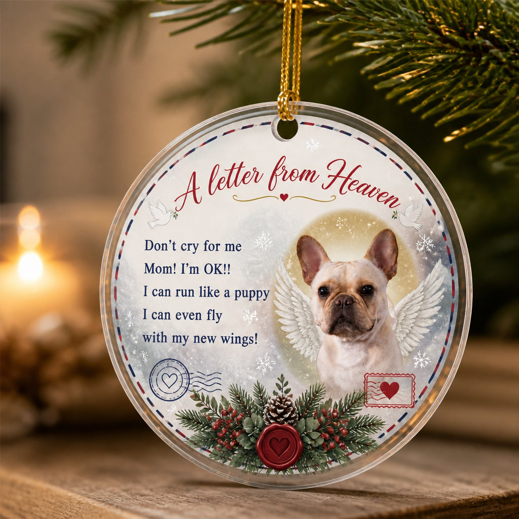 A Letter From Heaven - Pet Memorial Photo Acrylic Ornament - Personalized Transparent Acrylic Ornament d17c1a4c-8919-4cff-af01-f78c1e86fb5e.jpg