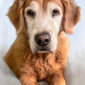 CUSTOM DOG CAT Portrait from your Photo, Digital Art or Oil Acrylic Embellished Painting on Canvas Original Pet Family Portraits d2856991-8d3e-4c09-9060-b3f29c4ad7a8-iap_1200x1200.5745401199_ln0brssn.jpg
