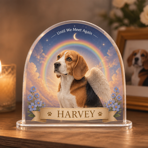 Rainbow Bridge Pet Memorial Acrylic Plaque – Photo + Name - Personalized Acrylic Plaque d2da7966-64b3-405b-9763-b21f9e348e0a.png