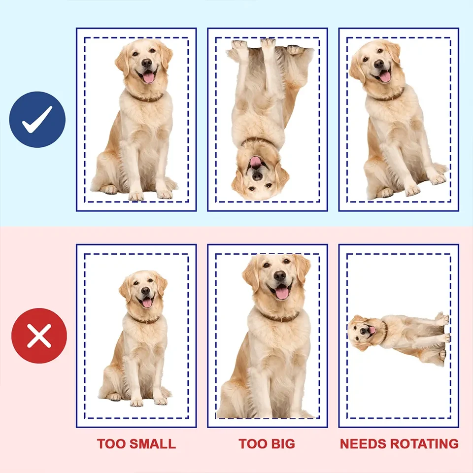 Custom Photo Crochet Doll Effect Pet Gift For Pet Lovers - Personalized Custom Shaped Pillow d38efd48-008b-44bc-a3c8-5a48814577ac-t-i-xu-ng-46-.png