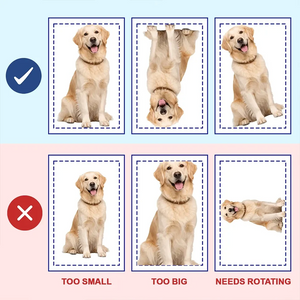 Custom Photo Crochet Doll Effect Pet Gift For Pet Lovers - Personalized Custom Shaped Pillow d38efd48-008b-44bc-a3c8-5a48814577ac-t-i-xu-ng-46-.png