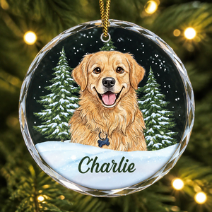 Custom Pet Portrait Crystal Ornament — Wreath Snowfall - Personalized Crystal Ornament d3ad52a5-14f4-4186-b1f4-4cb12ff10316.png