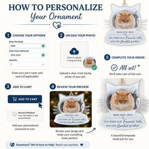 Cat Memorial Photo Ornament – Favorite Hello, Hardest Goodbye - Personalized Transparent Acrylic Ornament d4fe3765-9f1b-4bda-ae9e-4104f1bdd73b.jpg