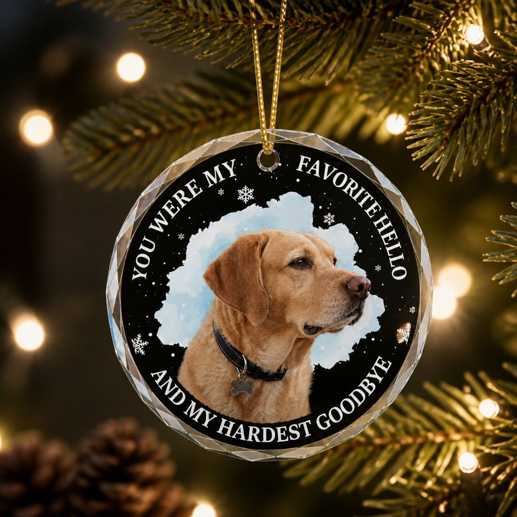 Pet Memorial Crystal Ornament – Favorite Hello, Hardest Goodbye - Personalized Crystal Ornament d51efddc-ead5-4d55-9b47-2b12659b9390.jpg