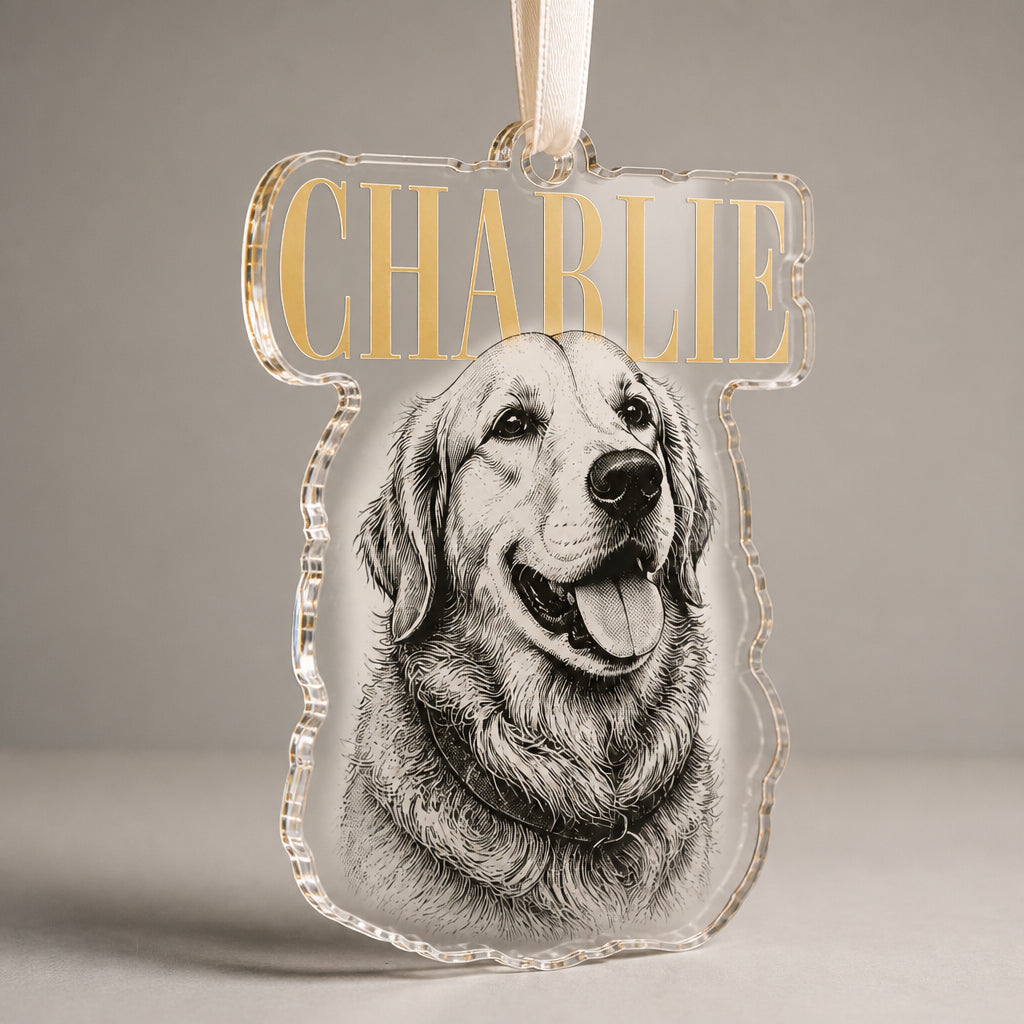 Custom Pet Name Etched-Style Acrylic Ornament - Personalized Transparent Acrylic Ornament d6a4f1d0-2c22-40f1-a0b4-782c7956db99.jpg