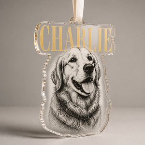 Custom Pet Name Etched-Style Acrylic Ornament - Personalized Transparent Acrylic Ornament d6a4f1d0-2c22-40f1-a0b4-782c7956db99.jpg