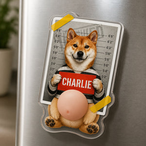 Custom Pet Mugshot Magnet – Photo + Name - Personalized Acrylic Refrigerator Magnet - Soft Rubber Belly d6df7479-b03b-4a99-bd4e-ff33ae86bbf4.jpg