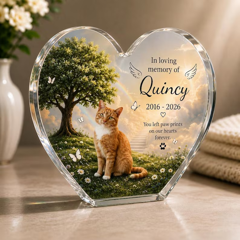 Personalized Pet Memorial Acrylic Block, Custom Cat Photo Keepsake, 2D Printed Rainbow Bridge Remembrance d8c61010-c754-423d-baa1-da7dda030b37-hj2.png