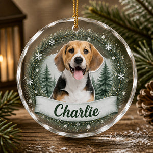 Winter Woodland Pet Photo Crystal Ornament - Personalized Crystal Ornament db6d5619-0a8b-4dc1-be8d-1618937d3e07.jpg